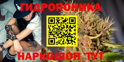 крисы Обнинск
