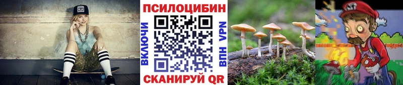 ОМГ ОМГ рабочий сайт  Сокол  Галлюциногенные грибы MAGIC MUSHROOMS 