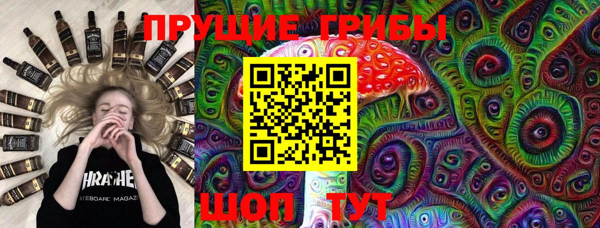 Галлюциногенные грибы мицелий  Вход с VPN  Псилоцибиновые грибы мицелий  Сокол 